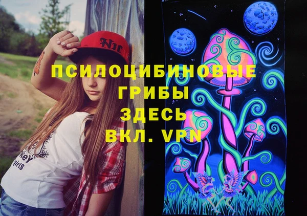 крисы Алексеевка