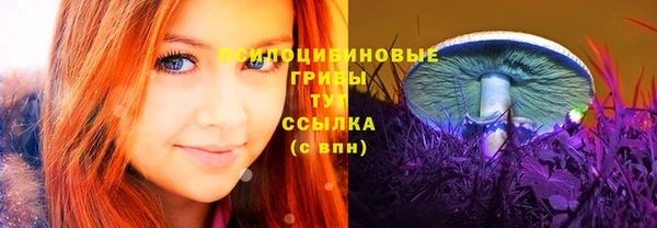 крисы Алексеевка