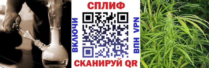 МЕГА зеркало  купить  сайты  Анива  Шишки марихуана Ganja 